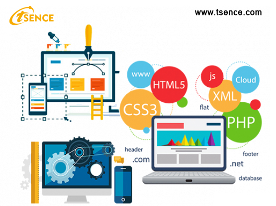 Phases of Creative Website Designing and Development Process